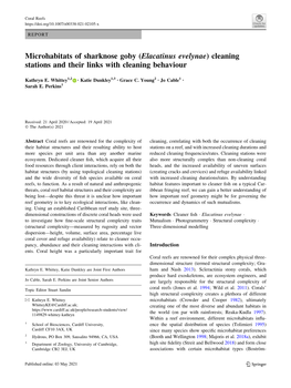 Microhabitats of Sharknose Goby (Elacatinus Evelynae) Cleaning Stations and Their Links with Cleaning Behaviour