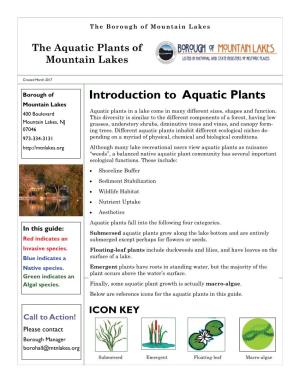Introduction to Aquatic Plants Mountain Lakes Aquatic Plants in a Lake Come in Many Different Sizes, Shapes and Function