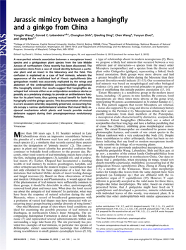 Jurassic Mimicry Between a Hangingfly and a Ginkgo from China