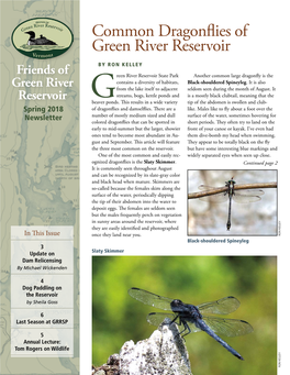 Common Dragonflies of Green River Reservoir