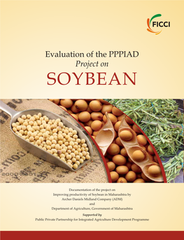 SOYBEAN Report