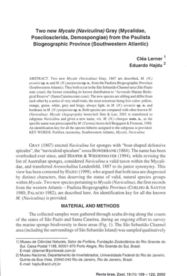 Two New Myca/E (Naviculina) Gray (Mycalidae, Poecilosclerida, Demospongiae) from the Paulista Biogeographic Province (Southwestern Atlantic)