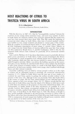 Host Reactions of Citrus to Tristeza Virus in South Africa