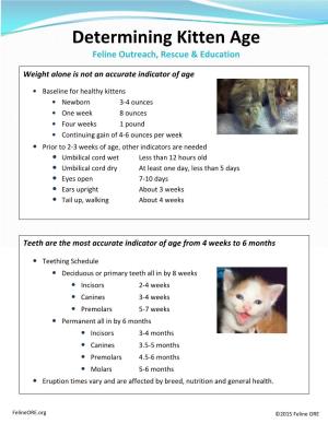 Determining Kitten Age Feline Outreach, Rescue & Education