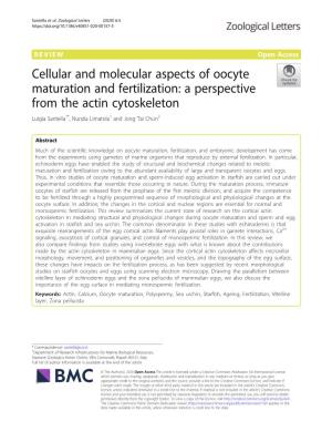 Cellular and Molecular Aspects of Oocyte