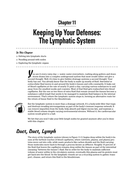 Keeping up Your Defenses: the Lymphatic System