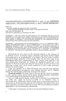 ATLANTASELLUS CAVERNICOLUS N. Gen., N. Sp. (ISOPODA ASELLOTA, ATLANTASELLIDAE N