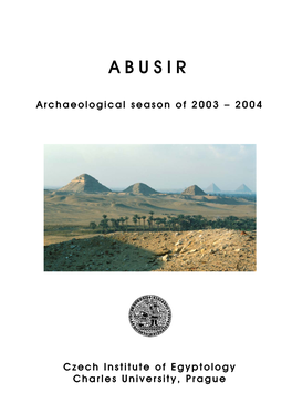 Report on the Season 2003—2004 of the Czech Archaeological Mission
