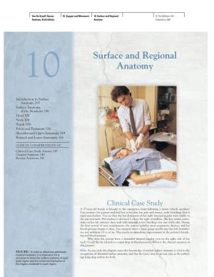 Surface and Regional Anatomy 297
