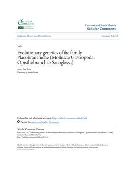 Evolutionary Genetics of the Family Placobranchidae (Mollusca: Gastropoda: Opisthobranchia: Sacoglossa) Anna Lee Bass University of South Florida