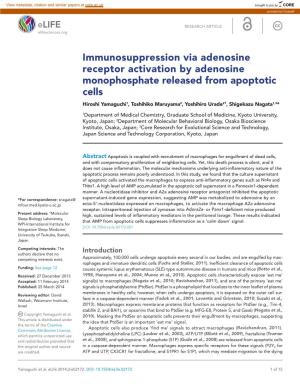 Immunosuppression Via Adenosine Receptor Activation by Adenosine