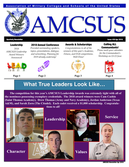 AMCSUS Issue 20