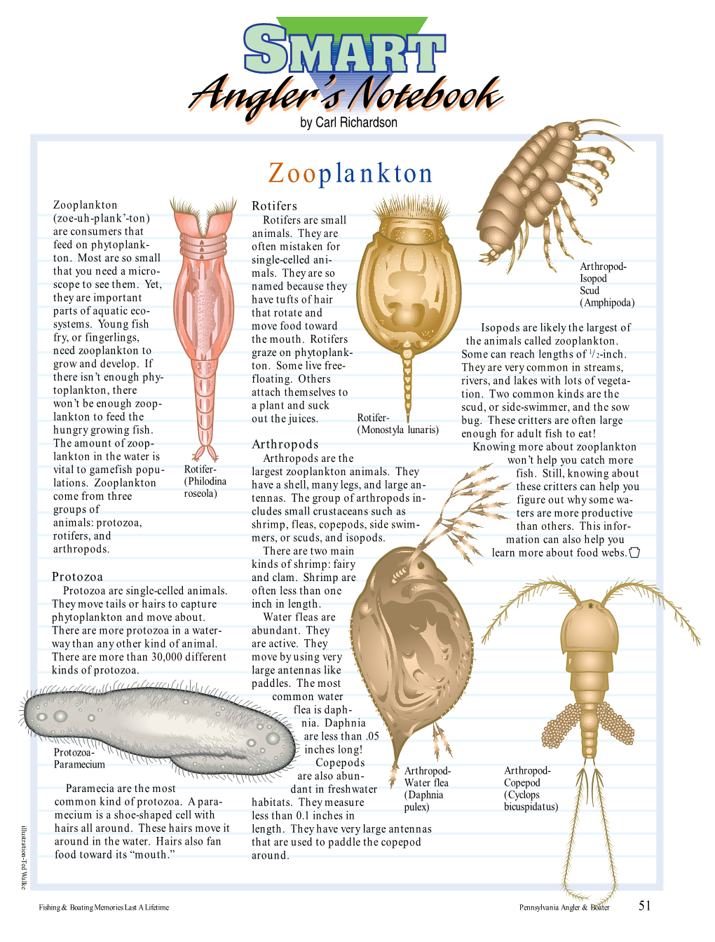 Zooplankton.Pdf