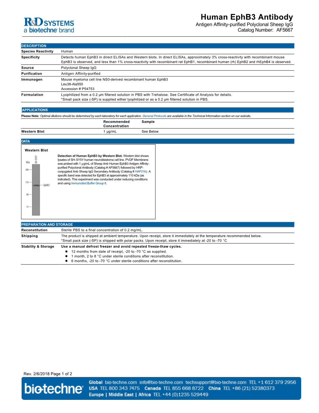 Human Ephb3 Antibody Antigen Affinity-Purified Polyclonal Sheep Igg Catalog Number: AF5667