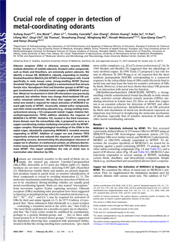 Crucial Role of Copper in Detection of Metal-Coordinating Odorants