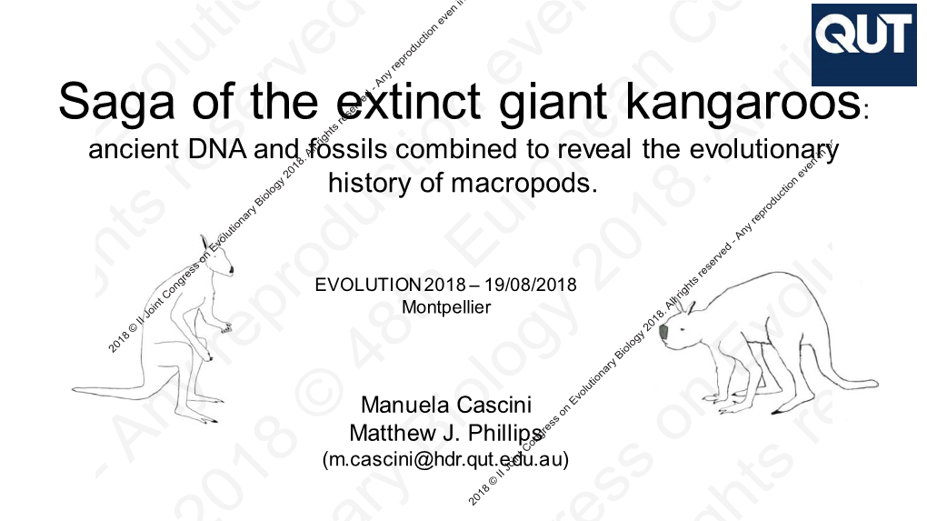 Saga of the Extinct Giant Kangaroos: Ancient DNA and Fossils Combined to Reveal the Evolutionary History of Macropods