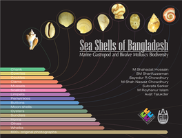 Sea Shells of Bangladesh: Marine Gastropod and Bivalve Molluscs Biodiversity