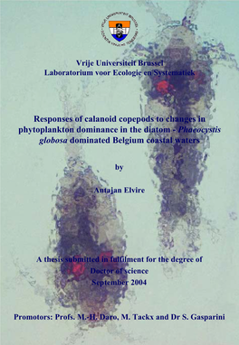 Responses of Calanoid Copepods to Changes in Phytoplankton Dominance in the Diatom - Phaeocystis Globosa Dominated Belgium Coastal Waters