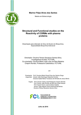 Structural and Functional Studies on the Reactivity of Corms with Plasma Proteins