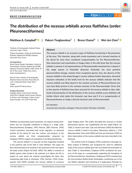 The Distribution of the Recessus Orbitalis Across Flatfishes (Order: Pleuronectiformes)