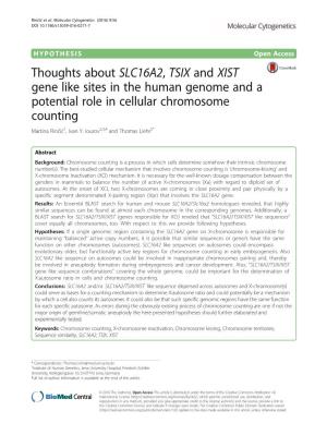 Thoughts About SLC16A2, TSIX and XIST Gene Like Sites in the Human Genome and a Potential Role in Cellular Chromosome Counting Martina Rinčić1, Ivan Y
