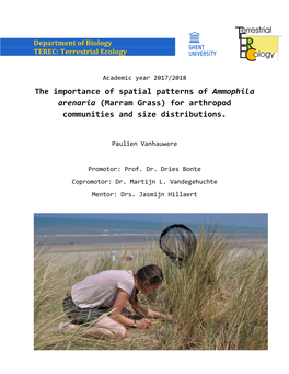 The Importance of Spatial Patterns of Ammophila Arenaria (Marram Grass) for Arthropod Communities and Size Distributions