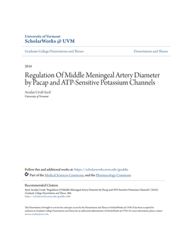 Regulation of Middle Meningeal Artery Diameter by Pacap and ATP-Sensitive Potassium Channels Arsalan Urrab Syed University of Vermont