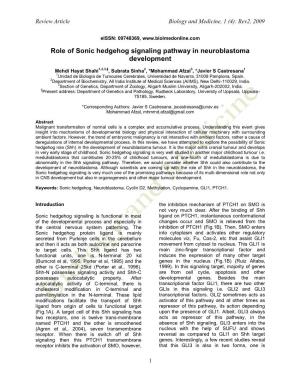 Role of Sonic Hedgehog Signaling Pathway in Neuroblastoma Development