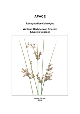 Revegetation Catalogue Wetland Herbaceous Species & Native Grasses