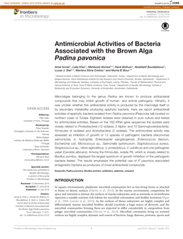 Antimicrobial Activities of Bacteria Associated with the Brown Alga Padina Pavonica
