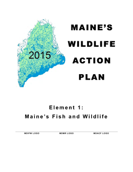 Maine's Wildlife Action Plan