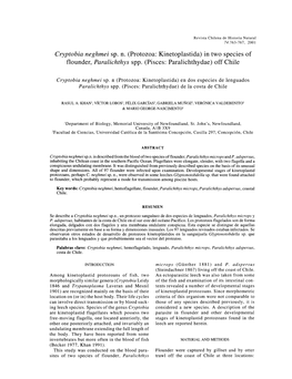 Cryptobia Neghmei Sp. N. (Protozoa: Kinetoplastida) in Two Species of Flounder, Paralichthys Spp