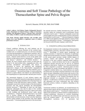 Osseous and Soft Tissue Pathology of the Thoracolumbar Spine and Pelvic Region