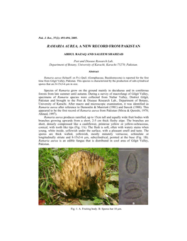 Ramaria Aurea, a New Record from Pakistan