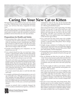 Caring for Your New Cat Or Kitten We Hope That You Will Love and Care for Your New Cat Just Constipation)