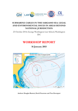 Submarine Cables in the Sargasso Sea: Final Workshop Report