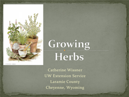 Growing Herbs in Laramie County
