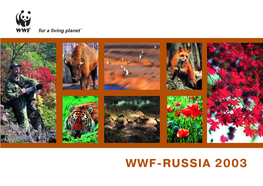 WWF Russia 2003. Annual Report Download