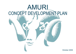 Amuri Concept Development Plan (2009)