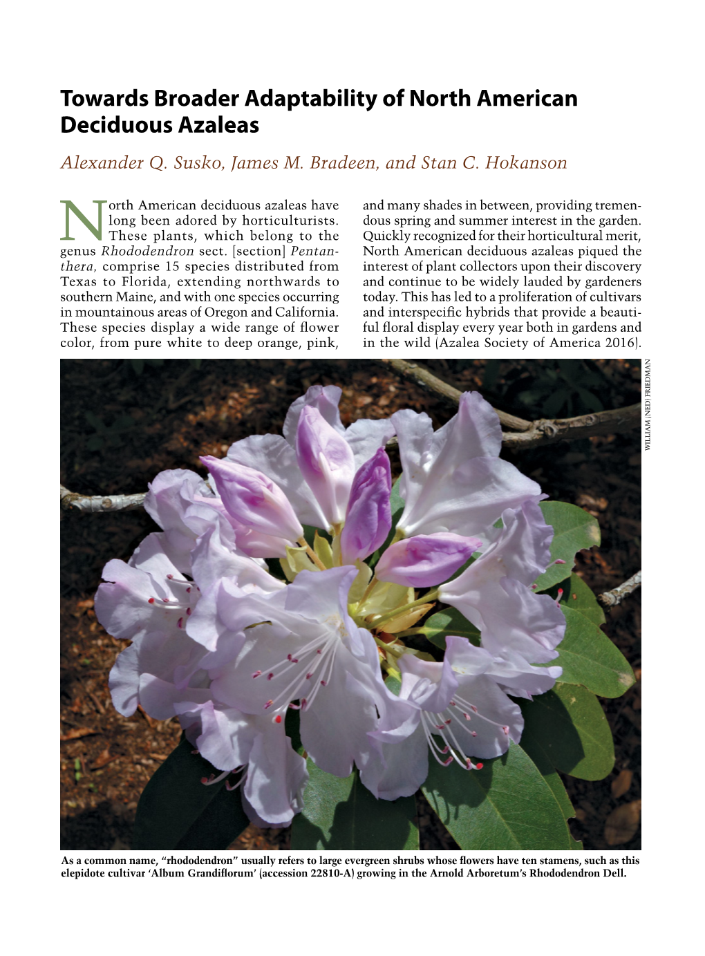 Towards Broader Adaptability of North American Deciduous Azaleas Alexander Q