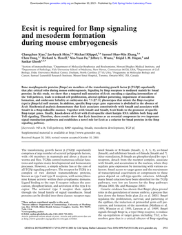 Ecsit Is Required for Bmp Signaling and Mesoderm Formation During Mouse Embryogenesis