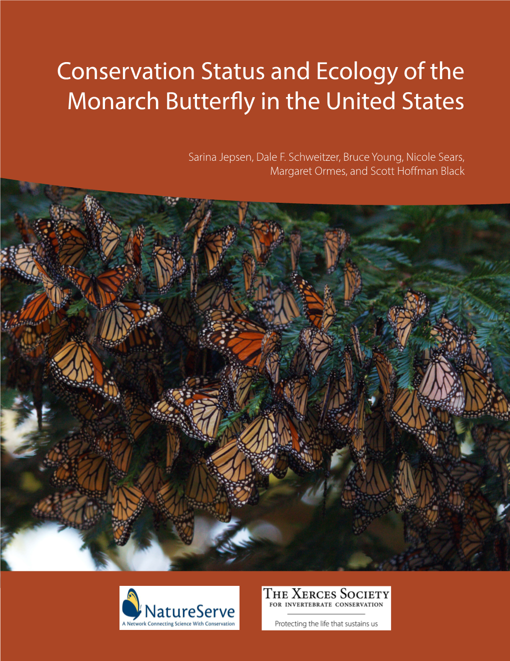 Monarch Butterfly in the United States