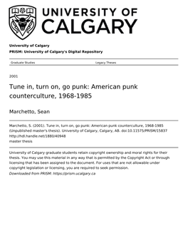 Tune In, Turn On, Go Punk: American Punk Counterculture, 1968-1985