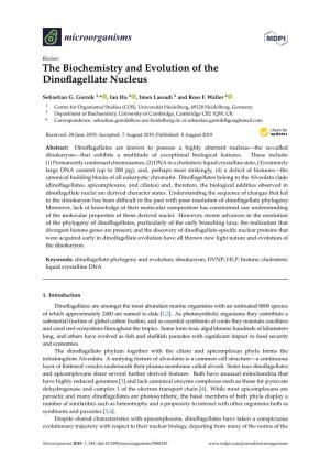 The Biochemistry and Evolution of the Dinoflagellate Nucleus