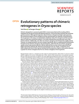 Evolutionary Patterns of Chimeric Retrogenes in Oryza Species Yanli Zhou 1 & Chengjun Zhang 1,2*