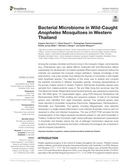 Bacterial Microbiome in Wild-Caught Anopheles Mosquitoes in Western Thailand