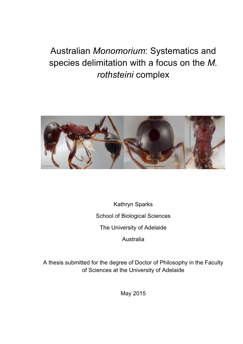 Australian Monomorium: Systematics and Species Delimitation with a Focus on the M