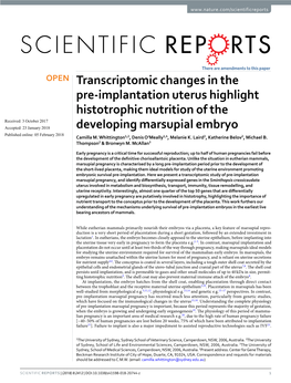 Transcriptomic Changes in the Pre-Implantation Uterus Highlight