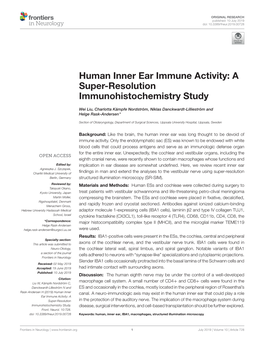Human Inner Ear Immune Activity: a Super-Resolution Immunohistochemistry Study