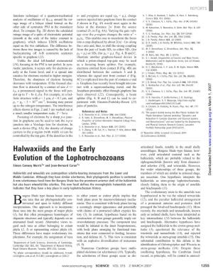 Halwaxiids and the Early Evolution of the Lophotrochozoans. Science